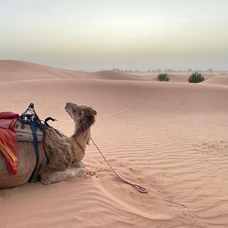 Erg Chebbi Sahara Camp Hotel Merzouga Eksteriør billede