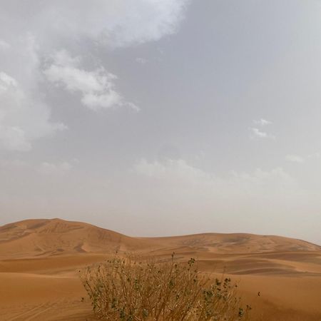 Erg Chebbi Sahara Camp Hotel Merzouga Eksteriør billede